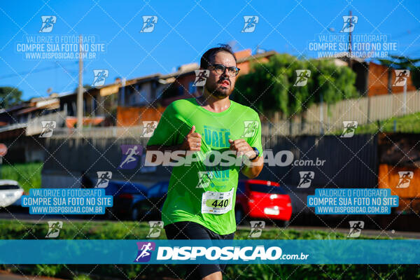 Vale Verde Run 2024