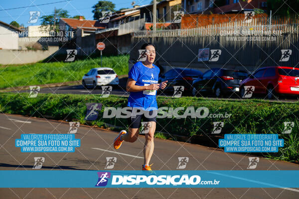 Vale Verde Run 2024