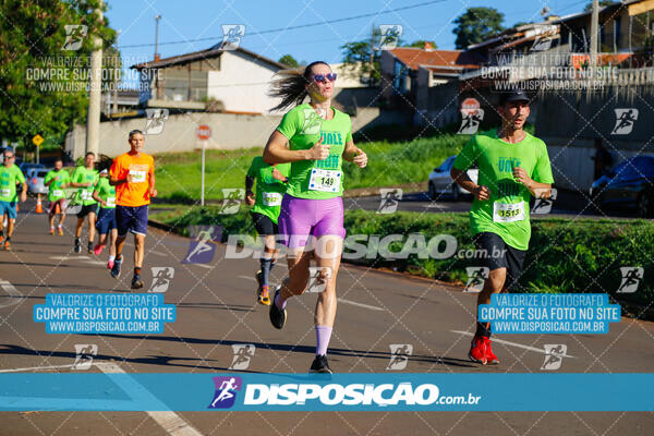 Vale Verde Run 2024