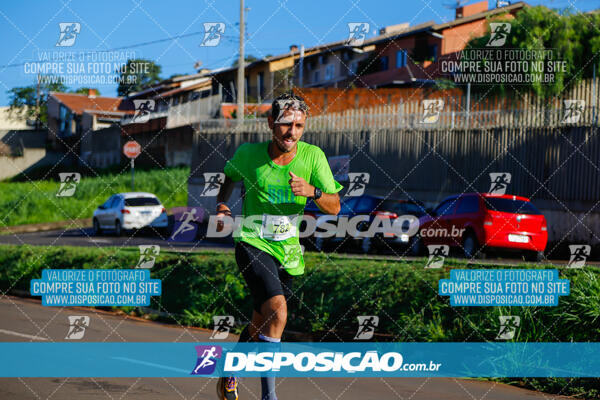 Vale Verde Run 2024