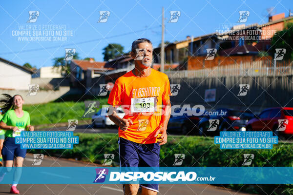 Vale Verde Run 2024