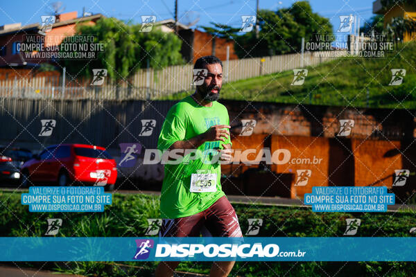 Vale Verde Run 2024