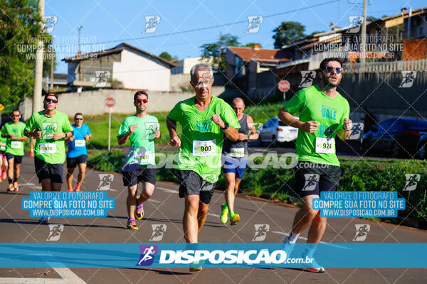 Vale Verde Run 2024