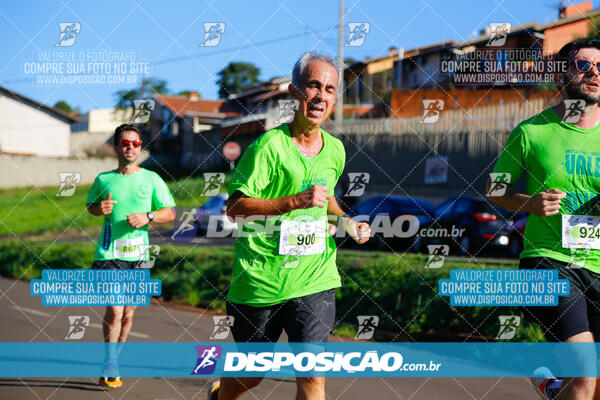 Vale Verde Run 2024