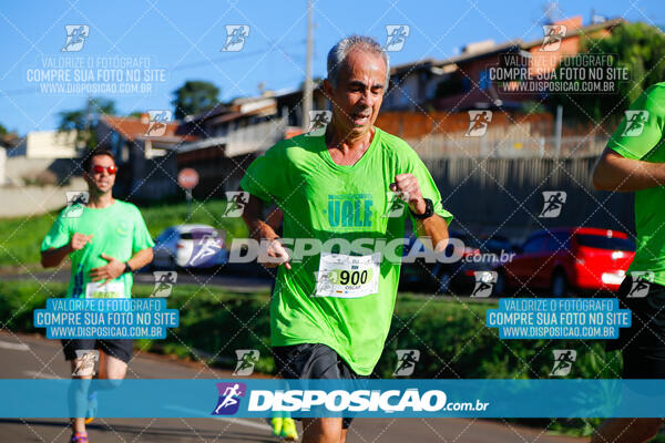 Vale Verde Run 2024