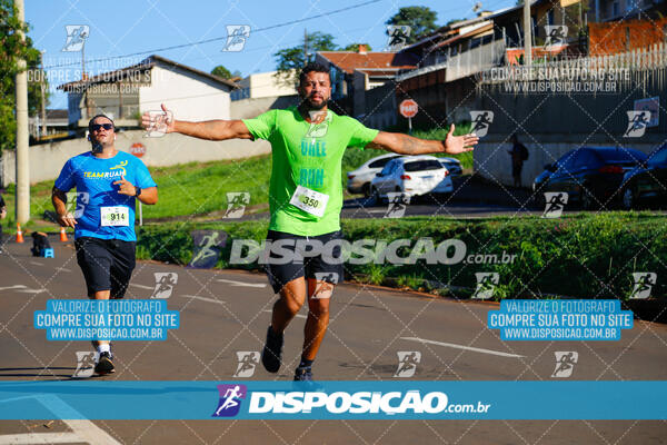 Vale Verde Run 2024