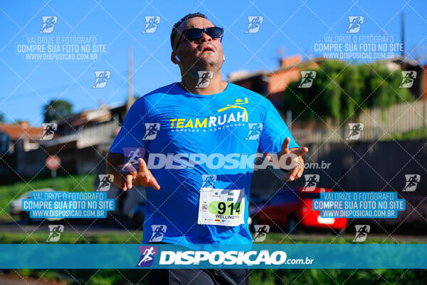 Vale Verde Run 2024