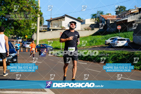 Vale Verde Run 2024