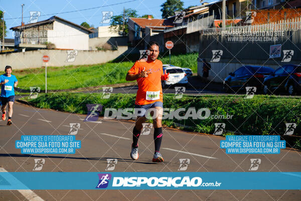 Vale Verde Run 2024