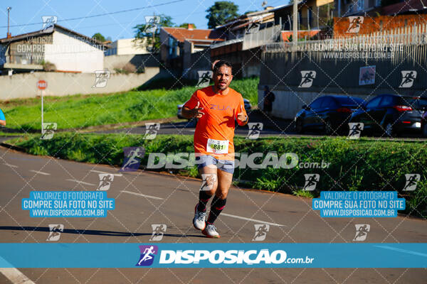 Vale Verde Run 2024