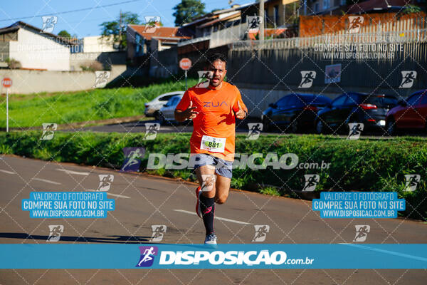 Vale Verde Run 2024