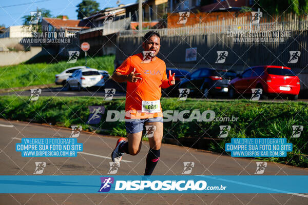 Vale Verde Run 2024