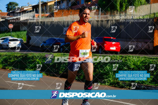 Vale Verde Run 2024