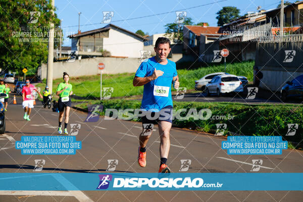 Vale Verde Run 2024