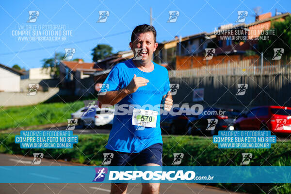 Vale Verde Run 2024