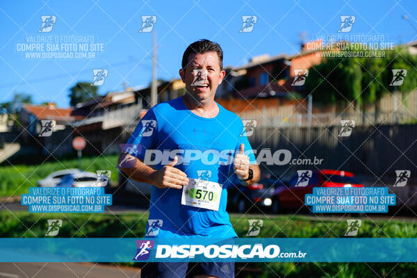 Vale Verde Run 2024