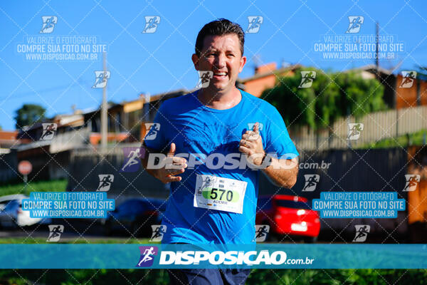 Vale Verde Run 2024