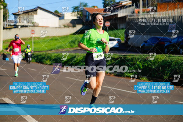 Vale Verde Run 2024