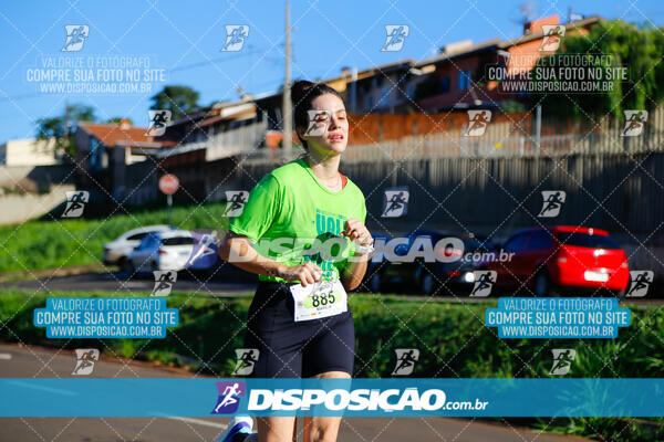 Vale Verde Run 2024