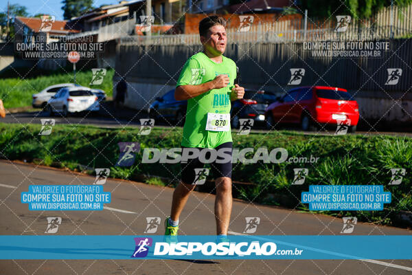 Vale Verde Run 2024