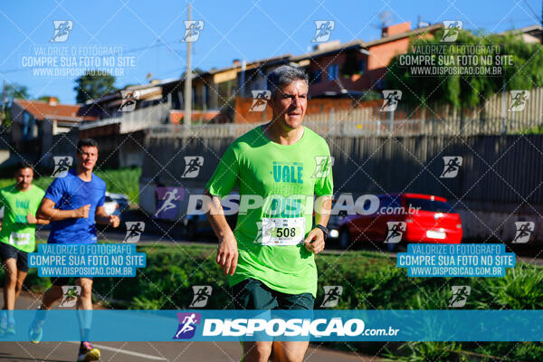 Vale Verde Run 2024