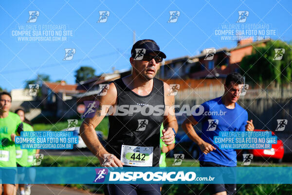 Vale Verde Run 2024