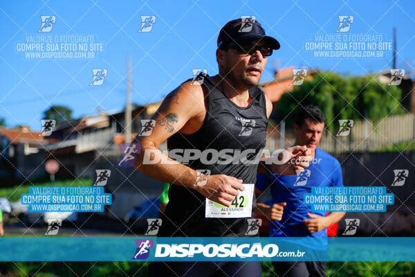 Vale Verde Run 2024