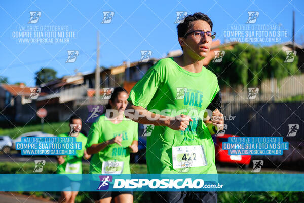 Vale Verde Run 2024