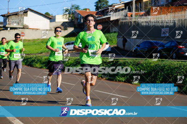 Vale Verde Run 2024