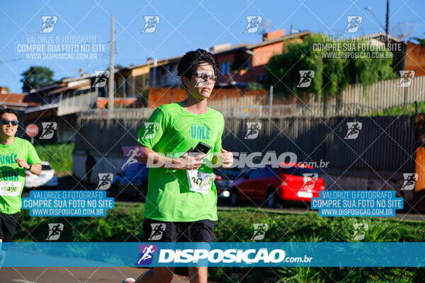 Vale Verde Run 2024