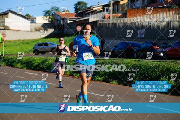 Vale Verde Run 2024