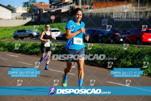 Vale Verde Run 2024