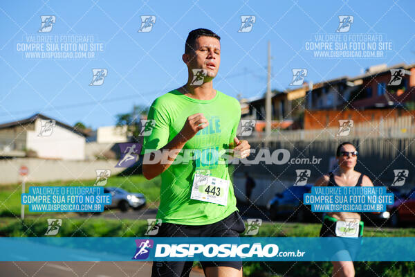 Vale Verde Run 2024