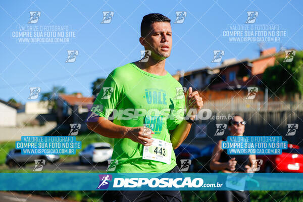 Vale Verde Run 2024