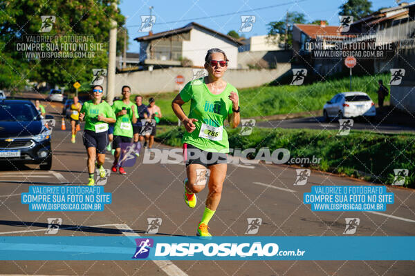 Vale Verde Run 2024