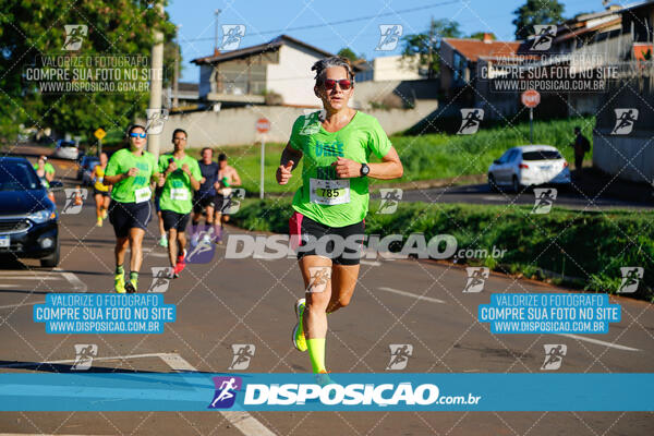 Vale Verde Run 2024