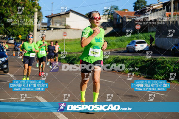 Vale Verde Run 2024