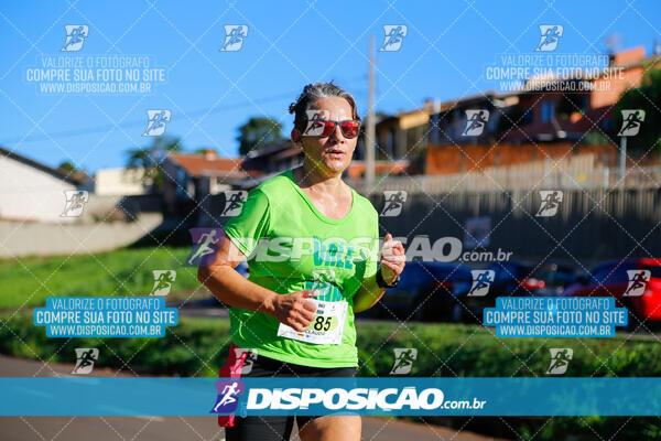 Vale Verde Run 2024