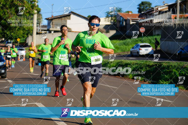 Vale Verde Run 2024