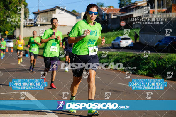 Vale Verde Run 2024