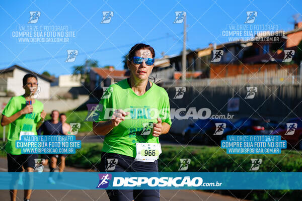 Vale Verde Run 2024