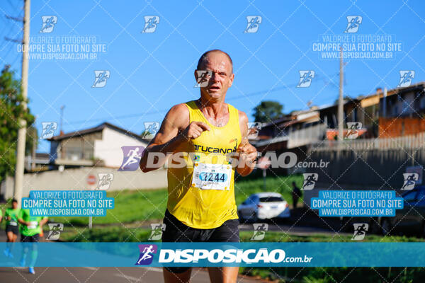 Vale Verde Run 2024