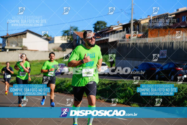 Vale Verde Run 2024