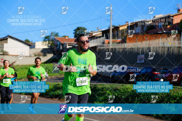 Vale Verde Run 2024