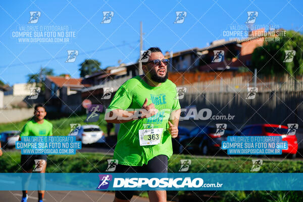 Vale Verde Run 2024