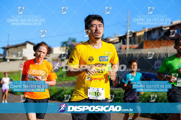 Vale Verde Run 2024