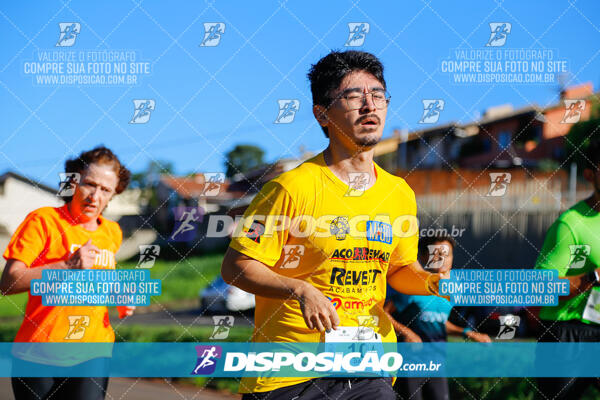 Vale Verde Run 2024