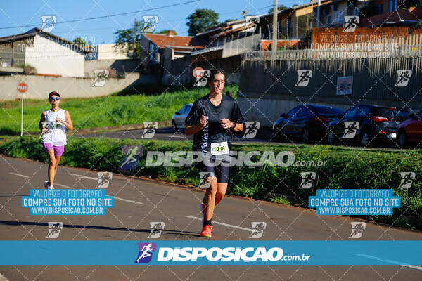 Vale Verde Run 2024