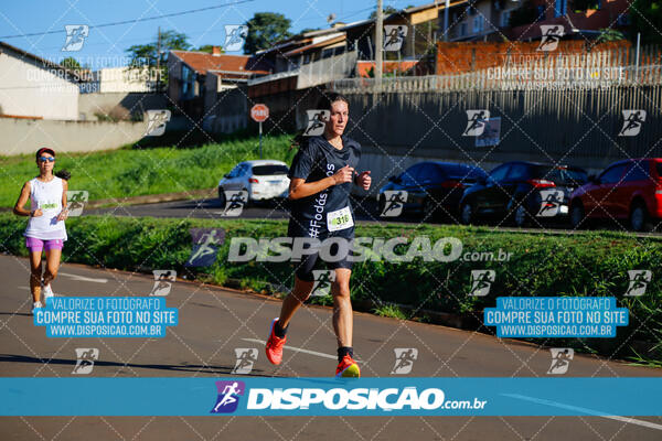 Vale Verde Run 2024