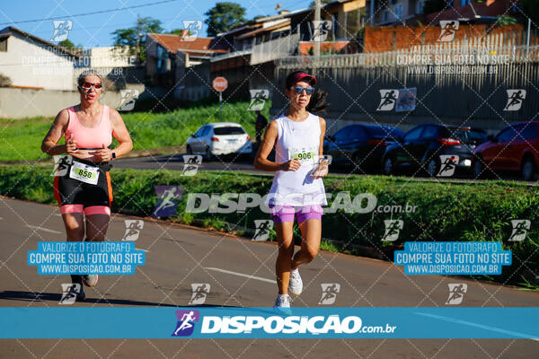 Vale Verde Run 2024